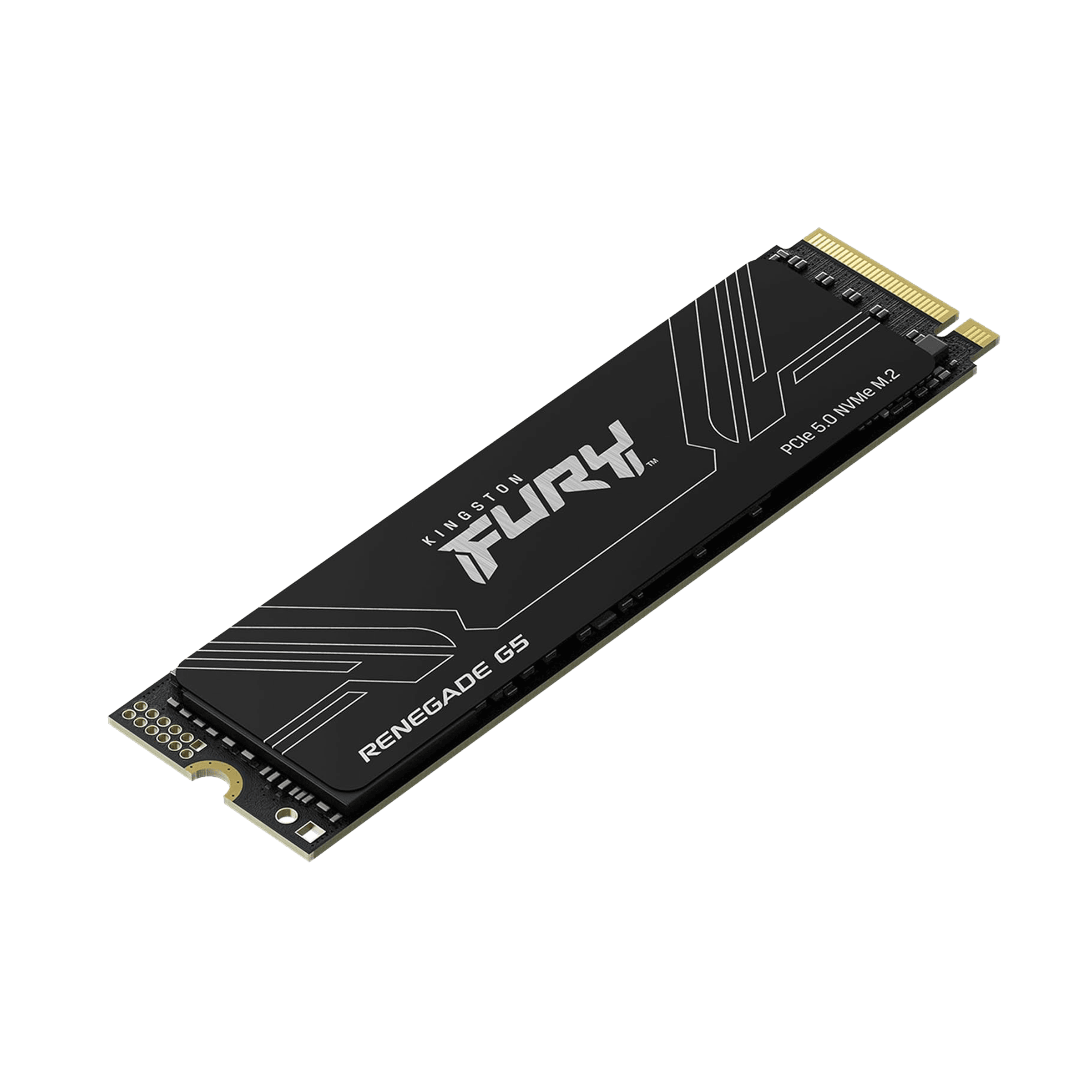 4TB Kingston Fury Renegade G5 M.2 PCIe Gen 5 NVMe SSD