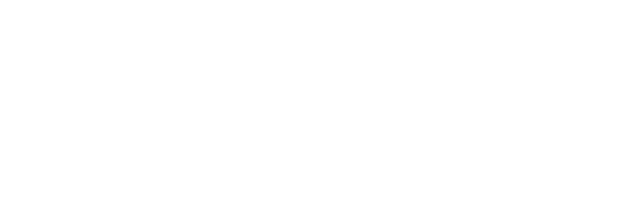 anime expo 2024 logo