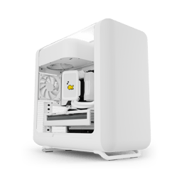 Snow White case image