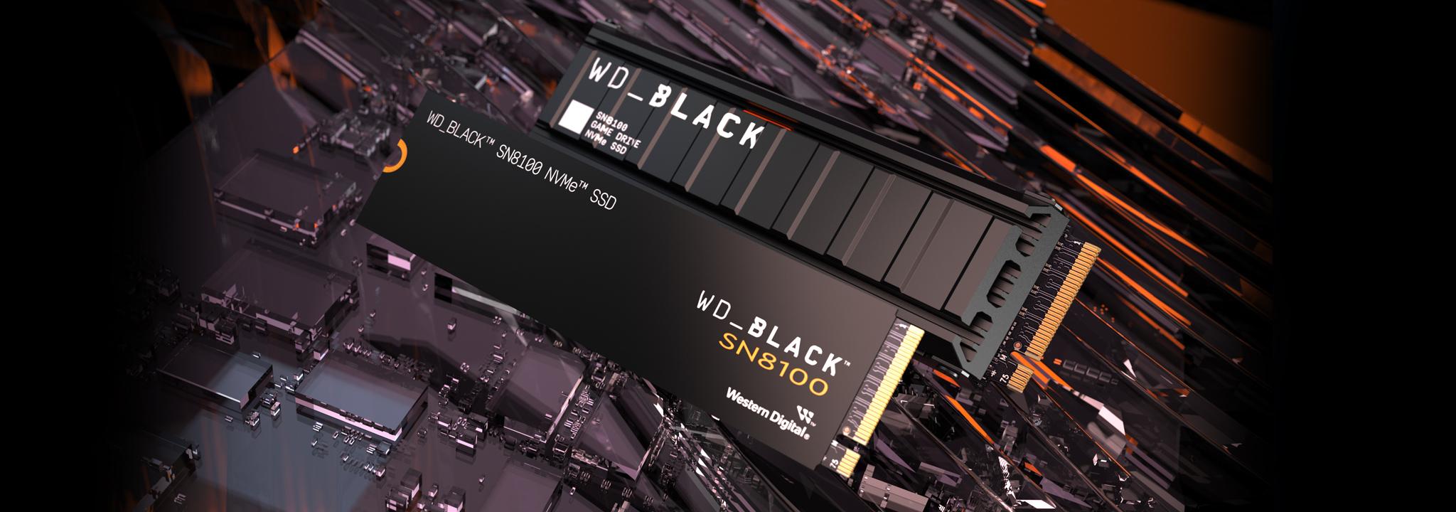 World's fastest PCIE GEN 5 SSD
