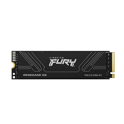 1TB Kingston Fury Renegade G5 M.2 PCIe Gen 5 NVMe SSD -- Gen 5 Read: 14,200MB/s; Write: 11,000MB/s