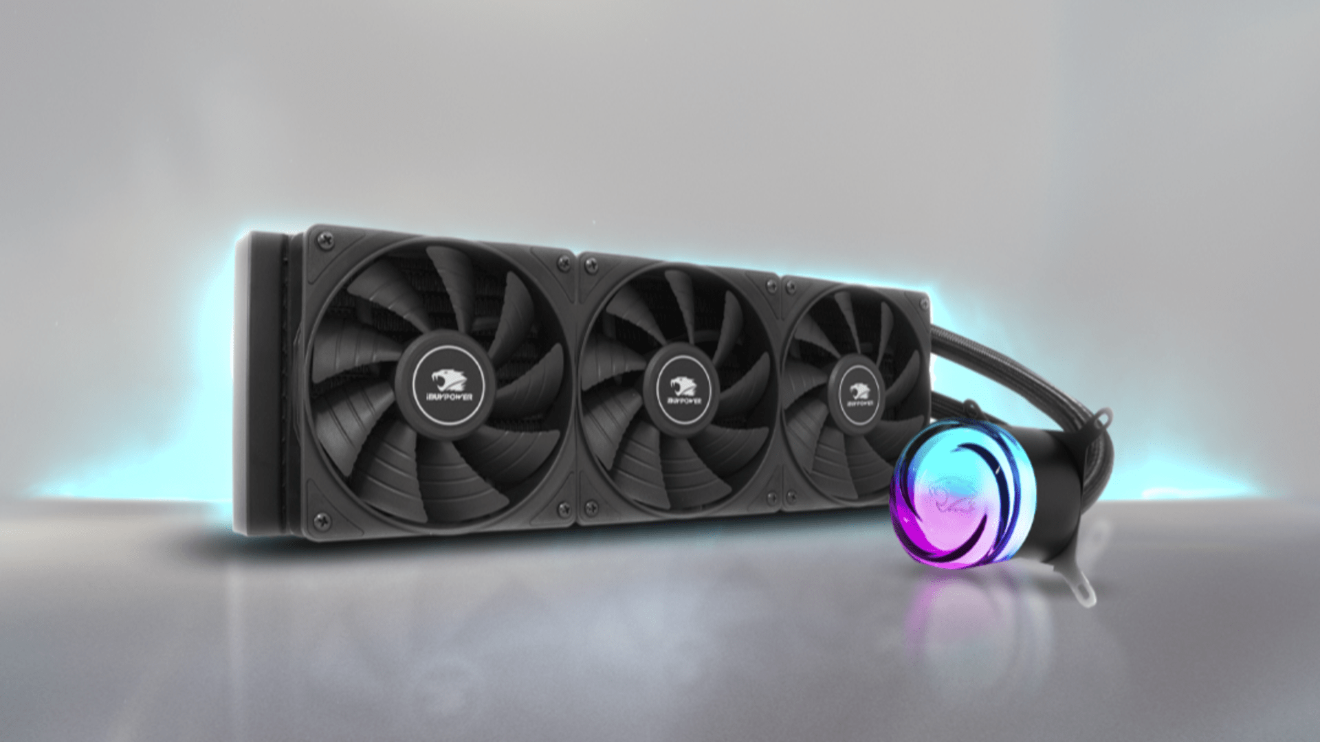 top blog banner