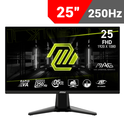 [1920 x 1080] MSI MAG 255XFV Gaming Monitor