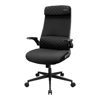 Cougar Stryder Gaming Chair - Black | Final Sale – No Returns