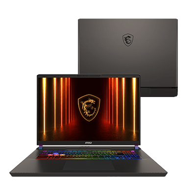 MSI Vector 17 HX A14VHG-1016US Gaming Laptop [Refurb] [Grade A]